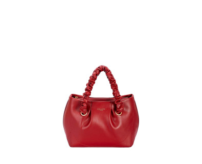 DAVID JONES rankinė 7860