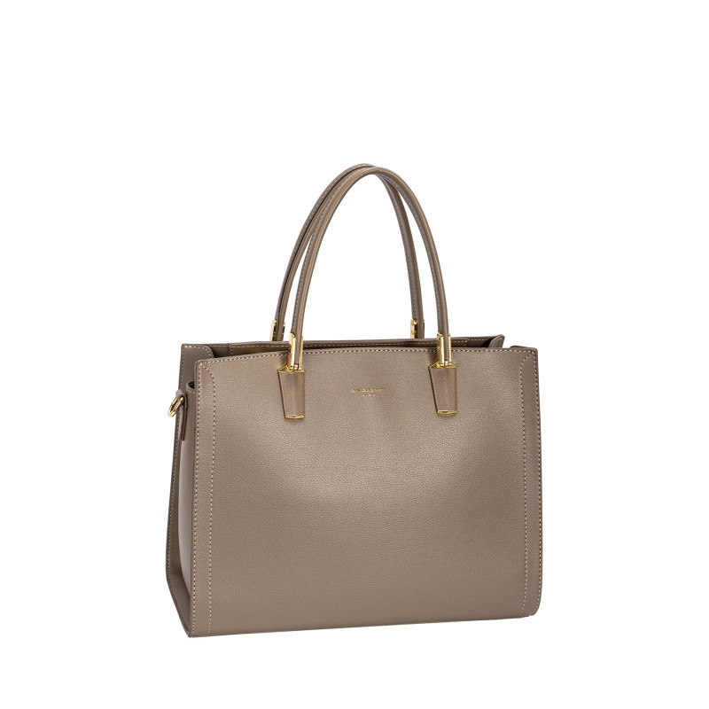 DAVID JONES rankinė CM6718-5