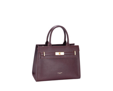 DAVID JONES rankinė CM8609