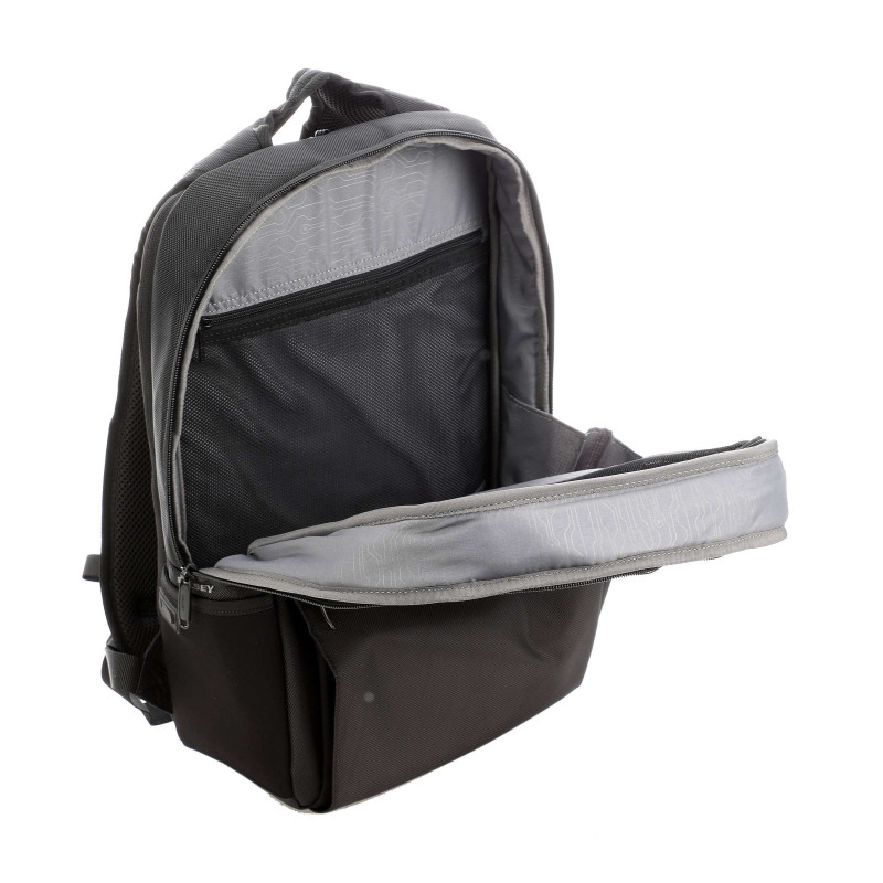 DELSEY kuprinė Laumiere 2CP 2193600 (4)