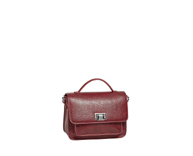 DAVID JONES rankinė CM7200