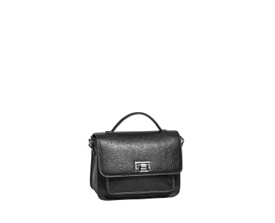 DAVID JONES rankinė CM7200 DAVID JONES rankinė CM7200