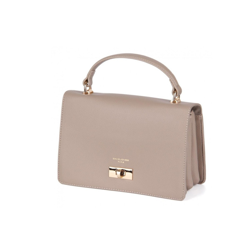 DAVID JONES rankinė CM6791-2